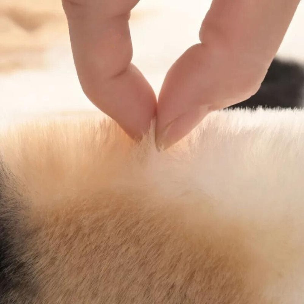 Cow Bath Mat